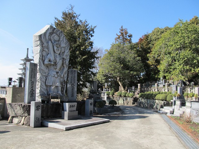 t06_027.jpg