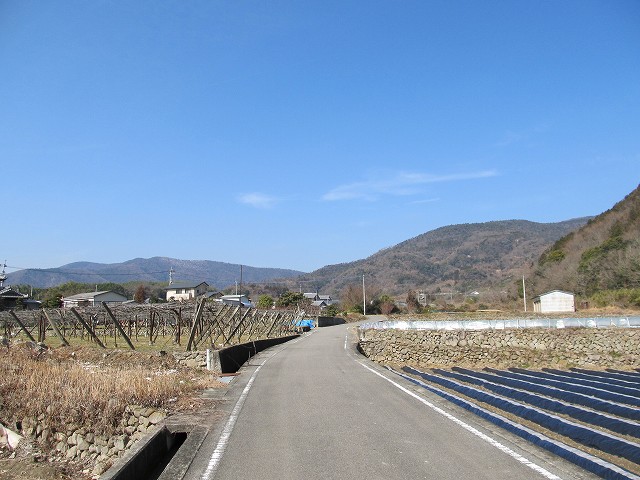 t06_038.jpg