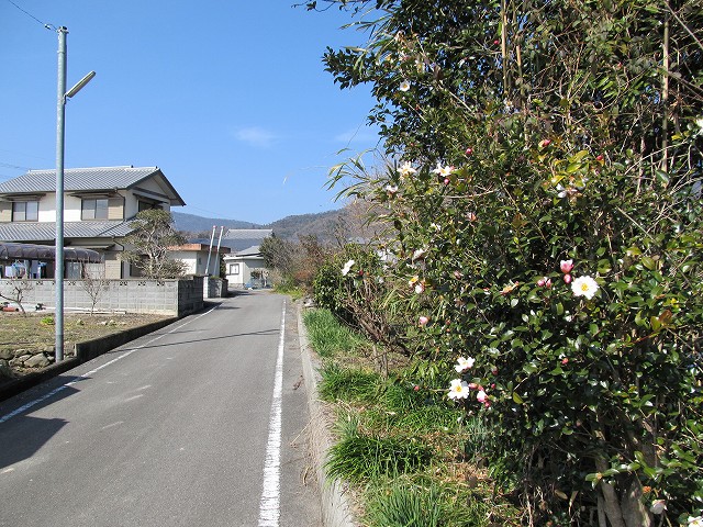 t06_039.jpg