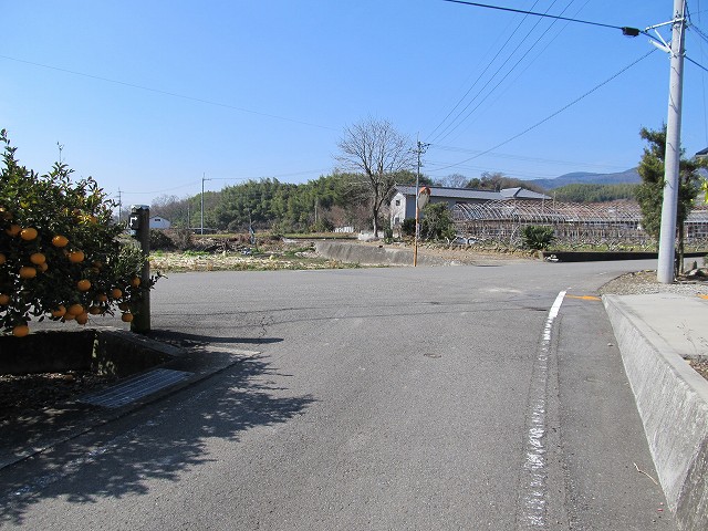t06_040.jpg