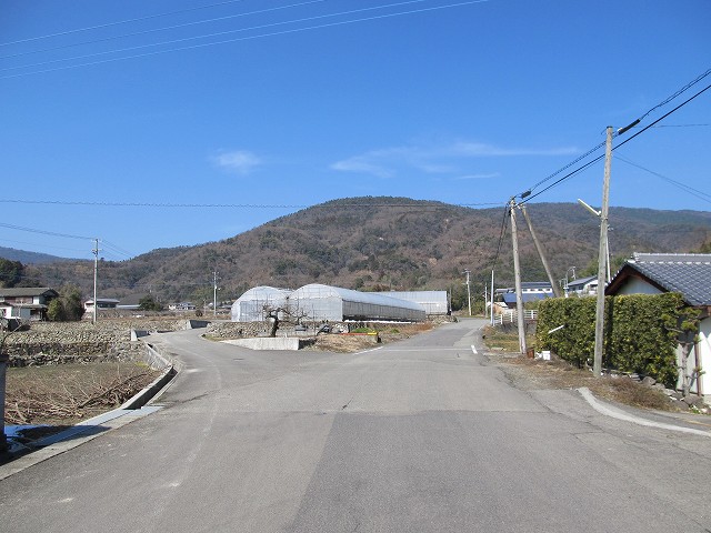 t06_042.jpg