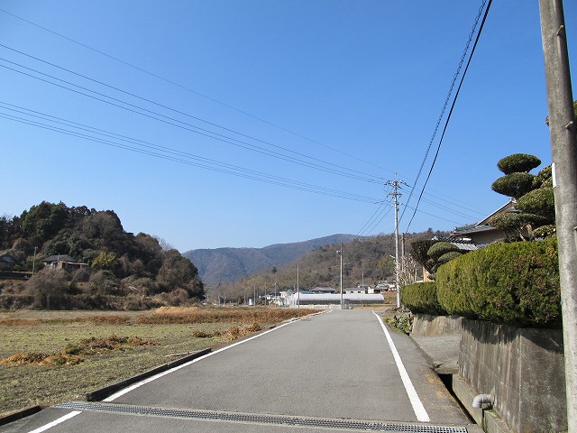 t06_045.jpg