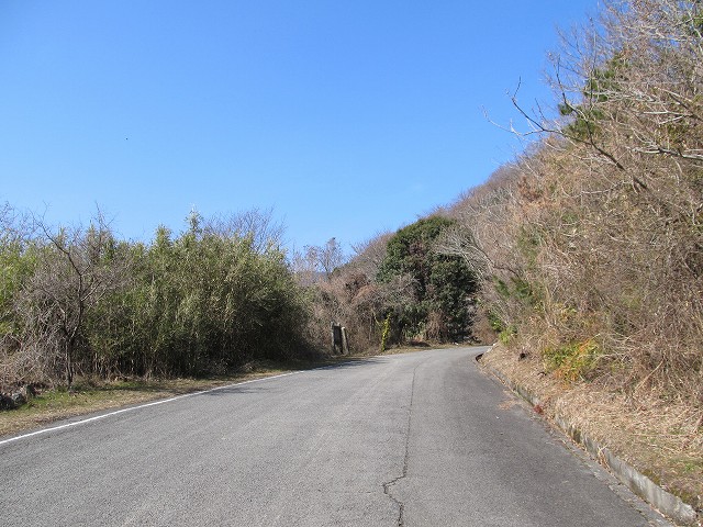t06_048.jpg