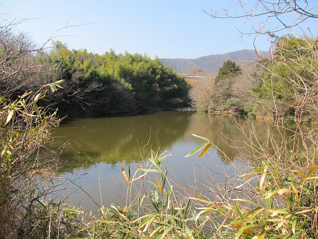 t06_050.jpg