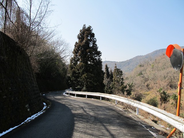 t06_053.jpg