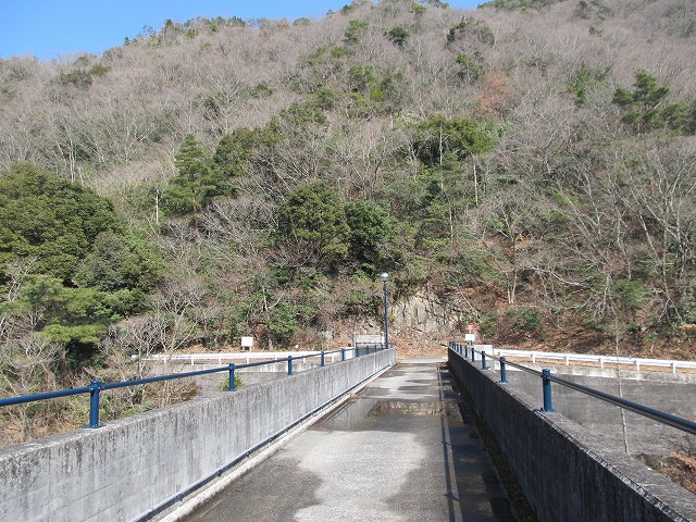 t06_072.jpg