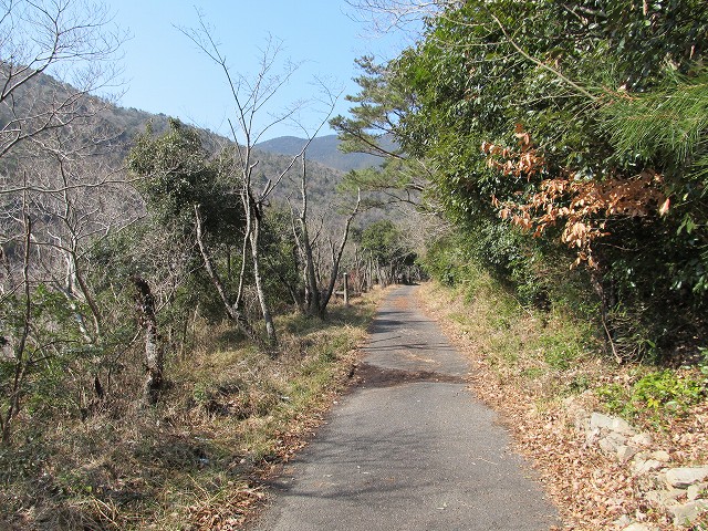 t06_075.jpg
