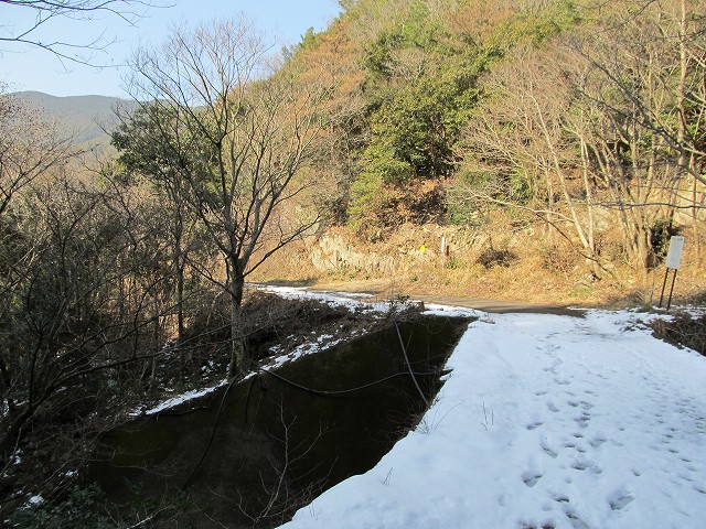 t06_078.jpg