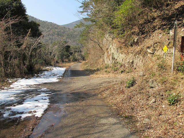 t06_079.jpg