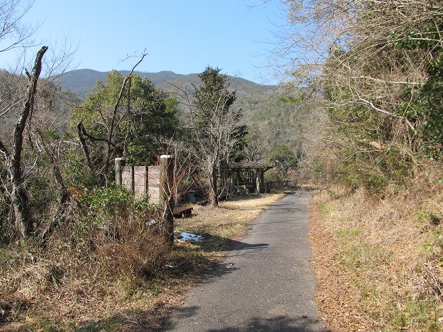 t06_080.jpg
