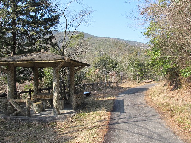 t06_082.jpg
