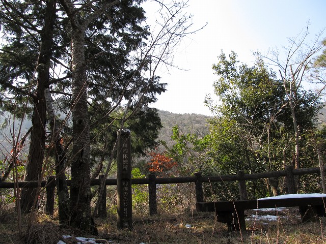 t06_083.jpg