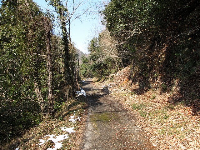 t06_085.jpg