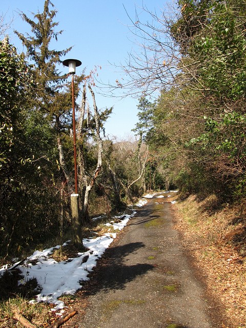 t06_086.jpg