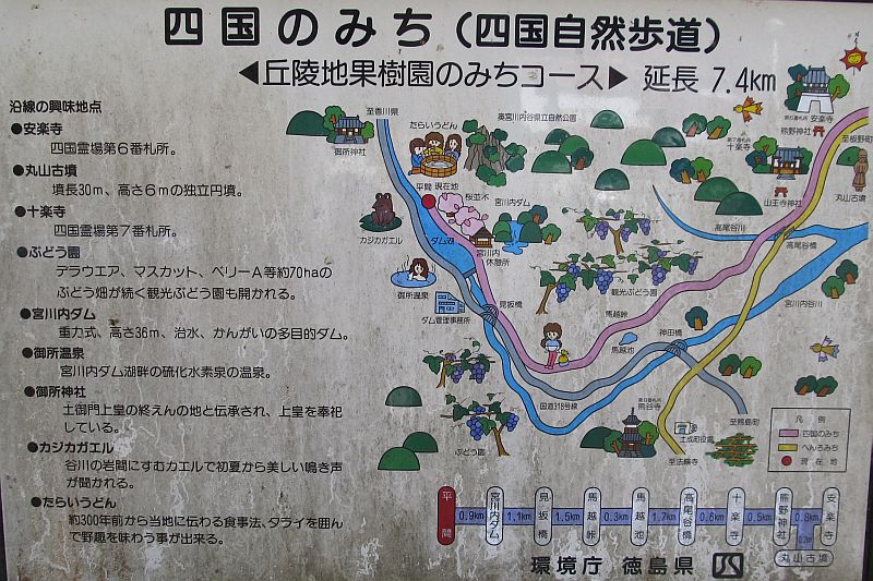 t06_090.jpg