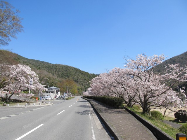 t07_002.jpg
