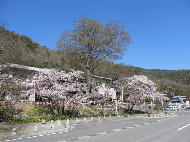 t07_003.jpg