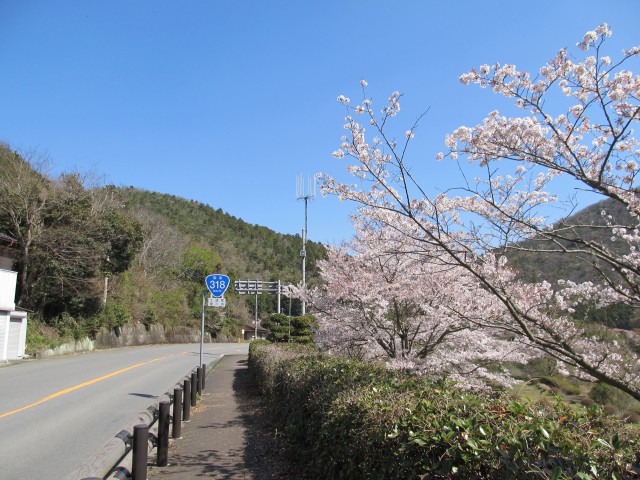 t07_005.jpg