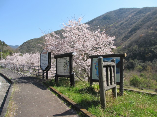 t07_006.jpg