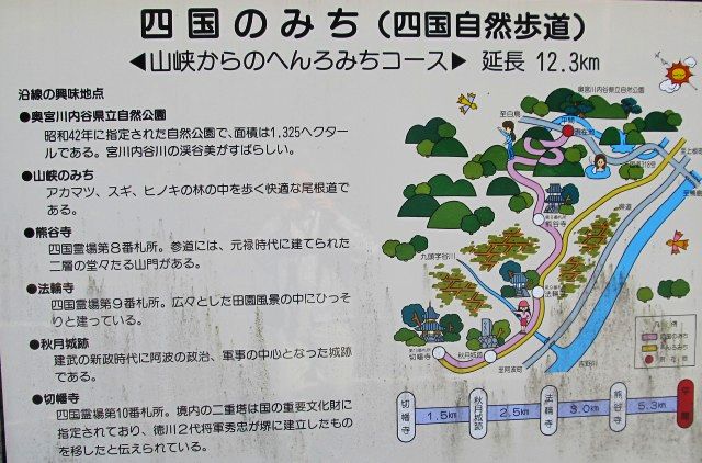 t07_008.jpg