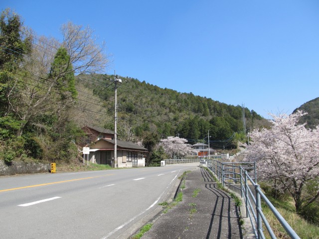 t07_010.jpg