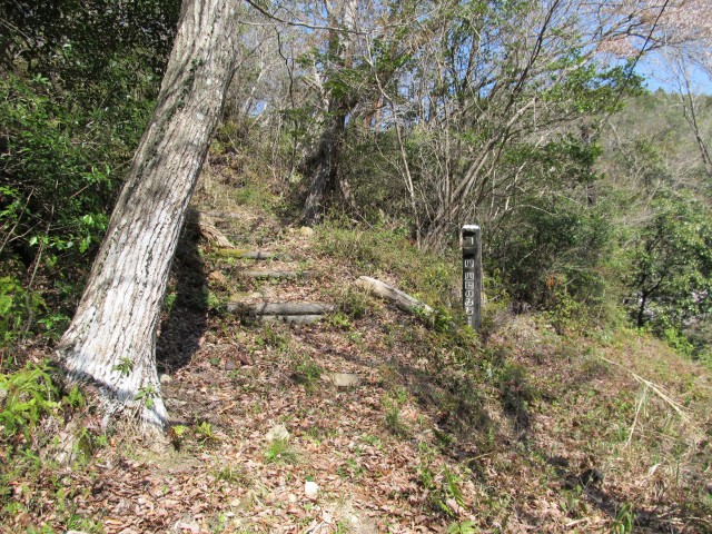 t07_013.jpg