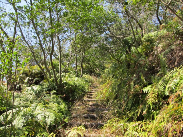 t07_015.jpg