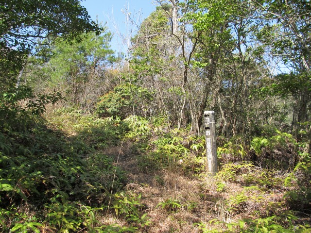 t07_017.jpg