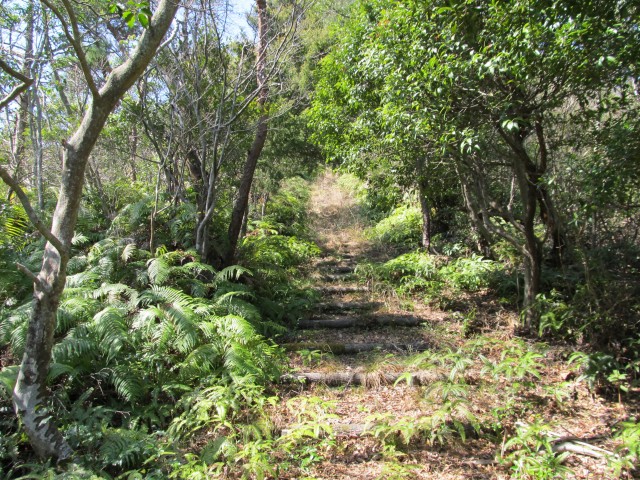 t07_018.jpg