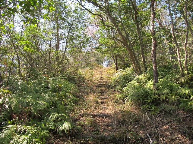 t07_019.jpg
