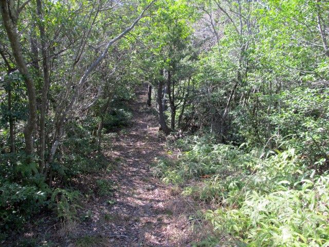 t07_020.jpg