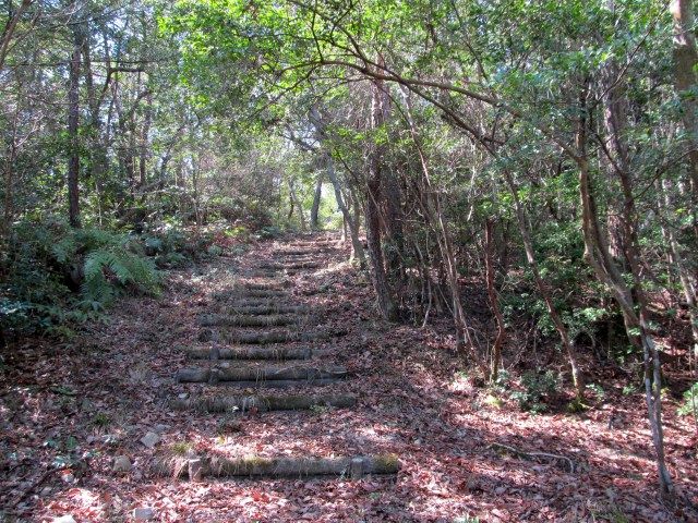 t07_021.jpg