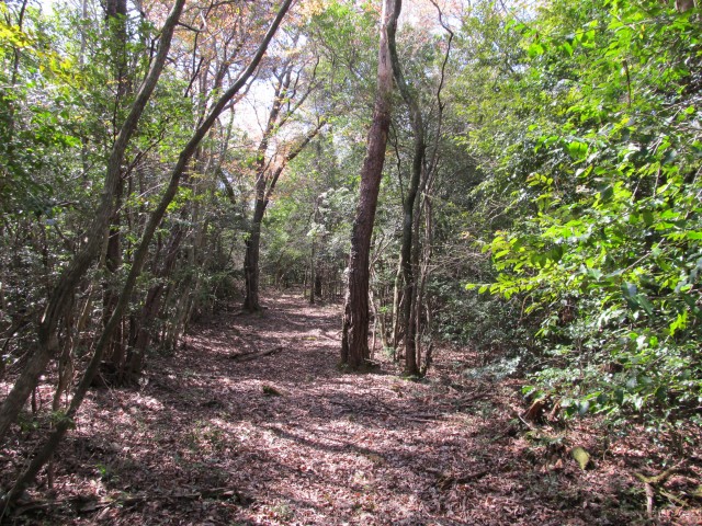 t07_022.jpg