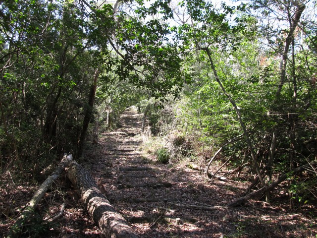t07_023.jpg