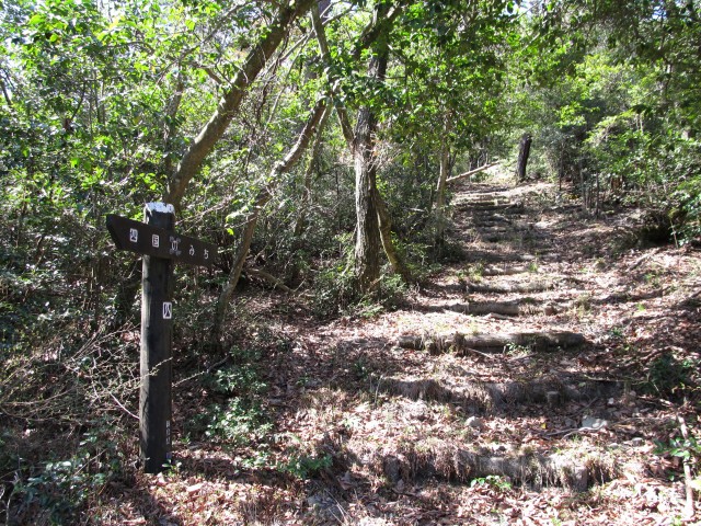 t07_024.jpg