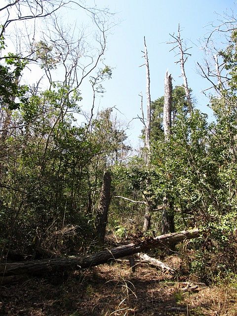 t07_025.jpg