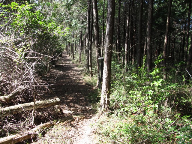 t07_027.jpg