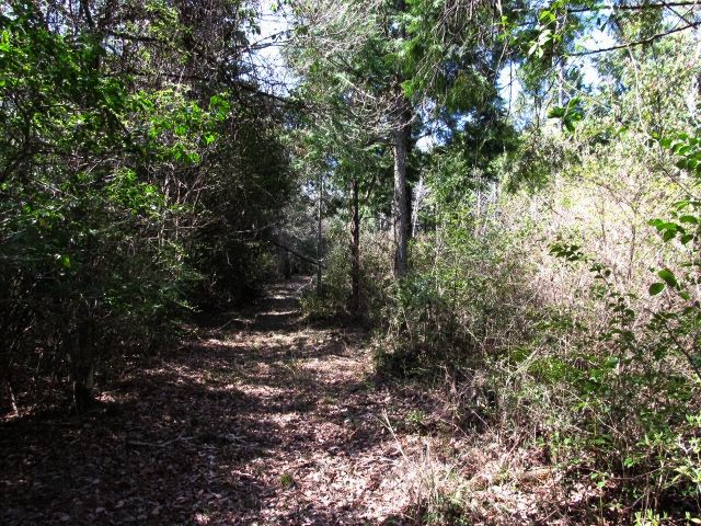 t07_028.jpg