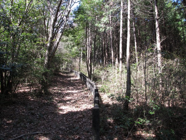 t07_029.jpg