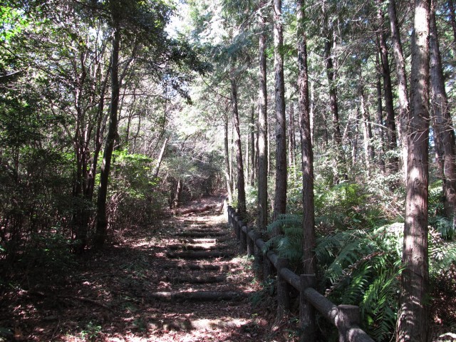 t07_030.jpg