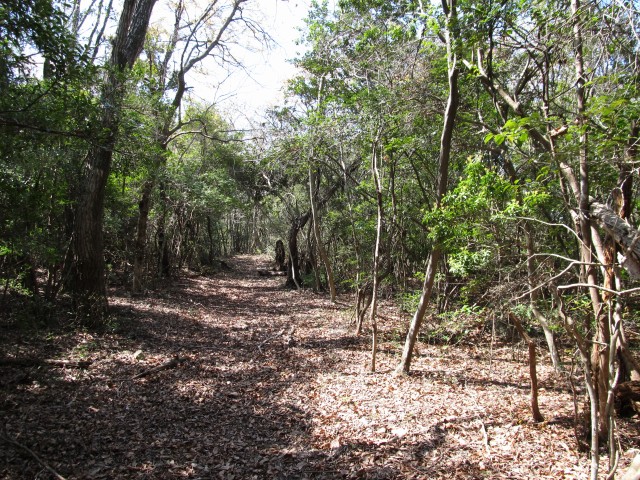 t07_031.jpg