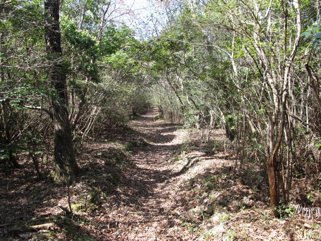 t07_033.jpg