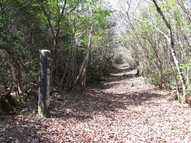 t07_034.jpg