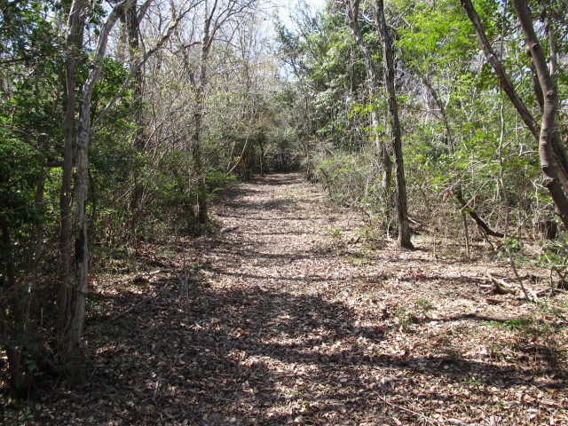 t07_035.jpg