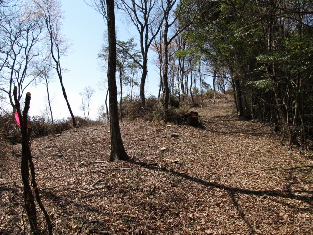 t07_036.jpg