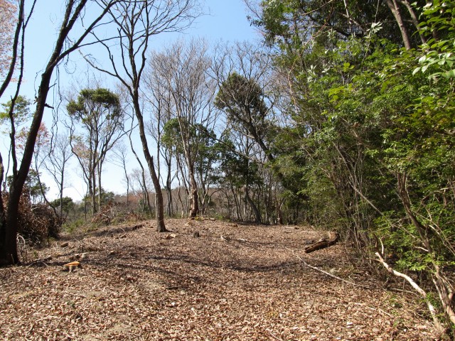 t07_037.jpg