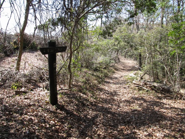 t07_038.jpg