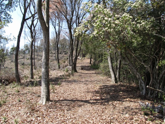 t07_040.jpg