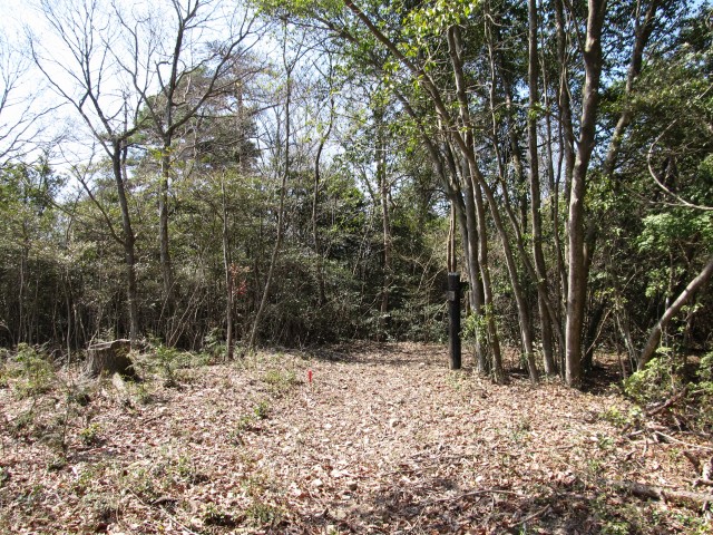 t07_041.jpg