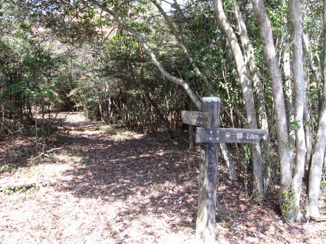 t07_042.jpg